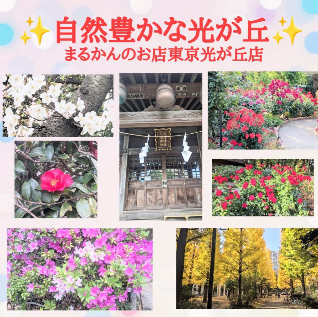 斎藤一人さん創業　【銀座まるかん公式HP】管理栄養士後藤恵理子のまるかんのお店東京光が丘店　自然豊かな光が丘。四季折々の美しい光が丘にまるかんのお店東京光が丘店があります。是非遊びに来てください。ご来店お待ちしています